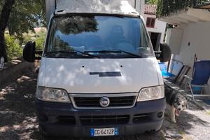 Ducato furgonato