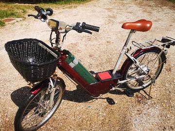 Bici elettrica a pedalata assistita
