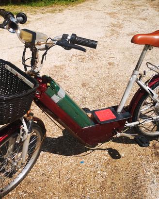 Bici elettrica a pedalata assistita