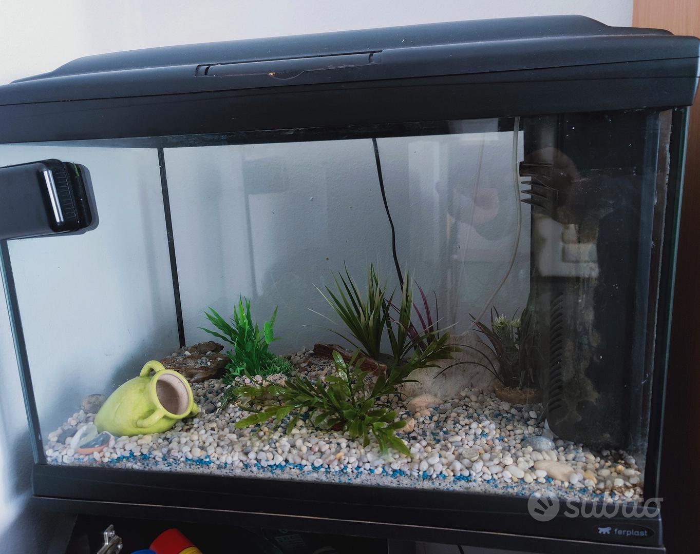 Acquario Ferplast Cayman 40 75 lt con mobile - Accessori per animali In  vendita a Venezia