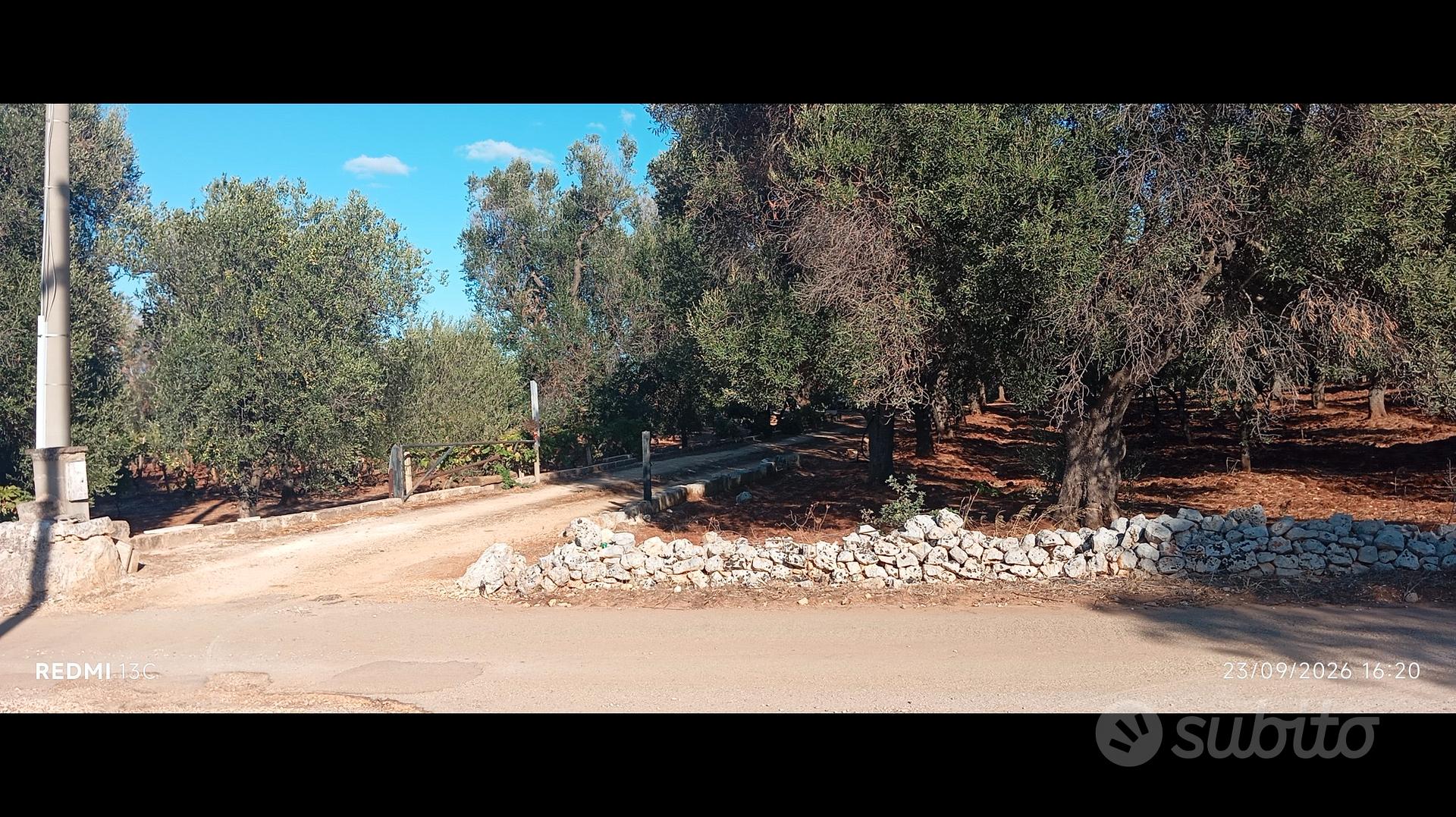 Ampio terreno vicino Ostuni - Vista 2