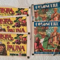 Bustine figurine edis