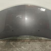 COFANO ANTERIORE RENAULT Clio Serie 7751476113 D4F