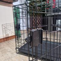 gabbia/trasportino per animali