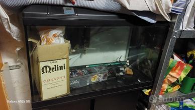 acquario tenerife 88