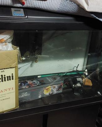 acquario tenerife 88