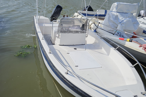 Barca Open fisherman 5.80 Mercury 40/60