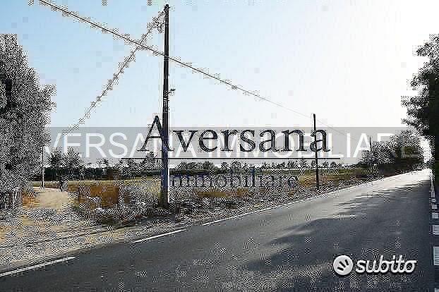 Terreno agricolo di 8950 mq con fronte starda - Vista 4