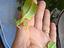 Immagine 2