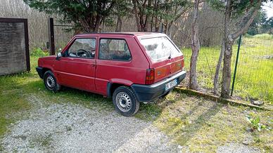 fiat panda young 900