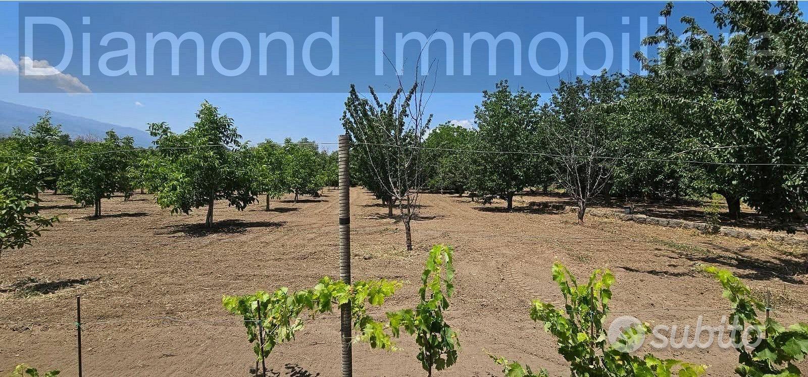 Terreno con rustico a Castiglione di Sicilia - Altro
