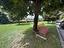 Immagine 29