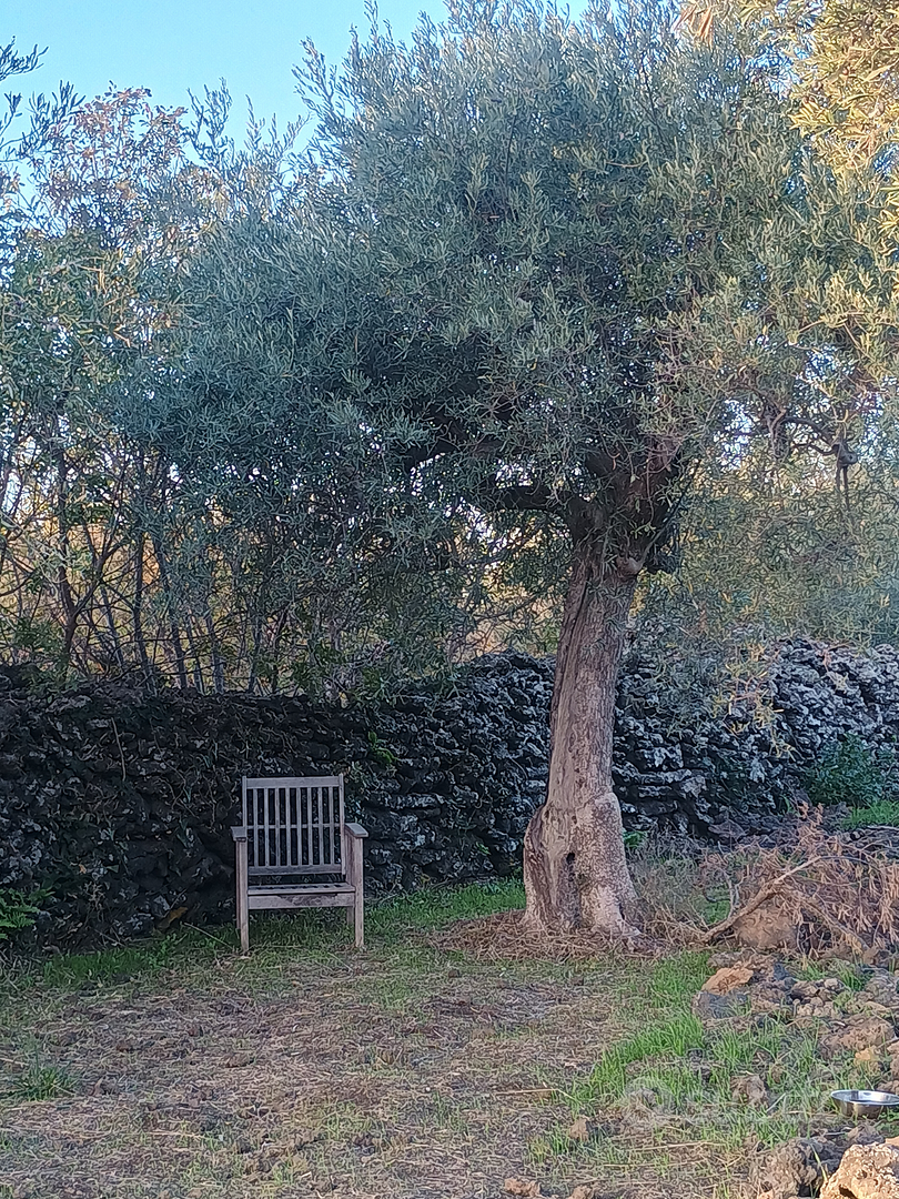 Terreno agricolo Belpasso - Altro