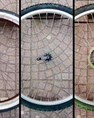 ruote bici usate