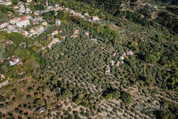 Cz, Sant'Elia, ampio terreno agricolo pianeggiante