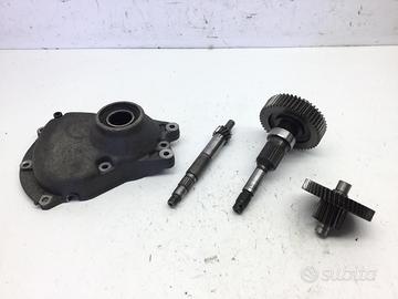 PIAGGIO BEVERLY 200 CARTER E INGRANAGGI RUOTA POST