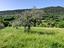 Immagine 18