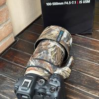 Canon rf 100-500
