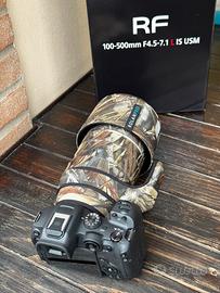 Canon rf 100-500