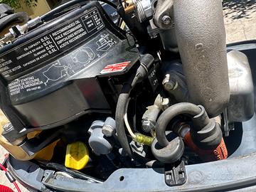Motore fuoribordo 4 cv 4T