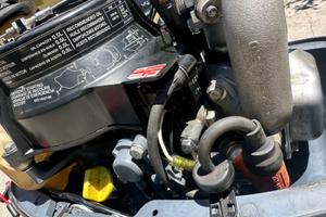 Motore fuoribordo 4 cv 4T
