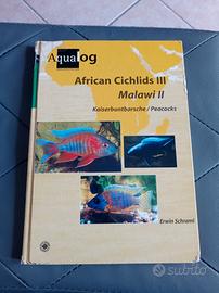 Aqualog ciclidi Malawi 