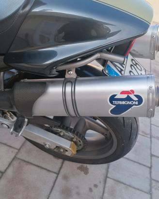 COPPIA TERMIGNONI ALTI DUCATI MONSTER