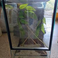 teche/terrari per rettili