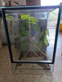 teche/terrari per rettili