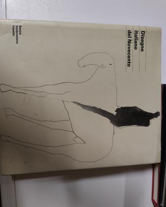 Disegno italiano del 900 - libro d'arte