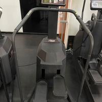 Step professionale Life Fitness da revisionare