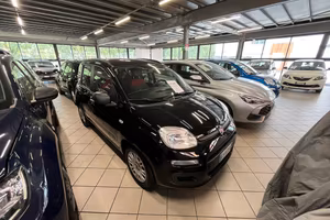 FIAT Panda 3ª serie - Panda 1.2 Easy