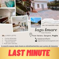 Last minute 12-16 agosto