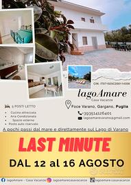 Last minute 12-16 agosto