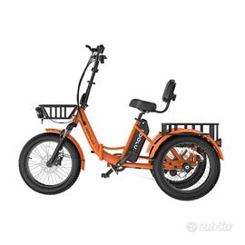 Bici elettrica cargo Triciclo koolux