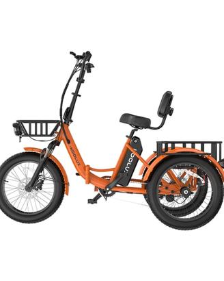 Bici elettrica cargo Triciclo koolux