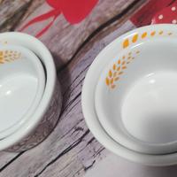 ciotoline mulino bianco 2011