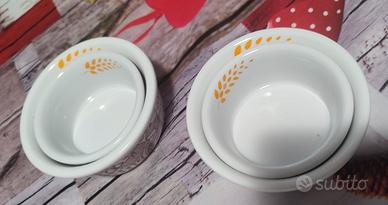 ciotoline mulino bianco 2011