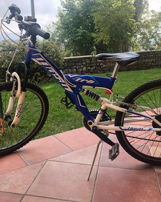 Bicicletta 24