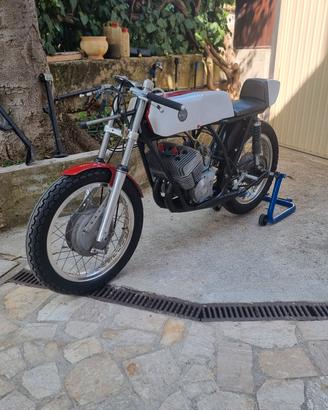 Benelli 250 2c pista