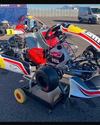 Kart kz birel s19  ap2 2026