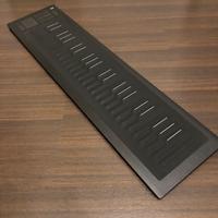 Roli Seaboard Rise 49