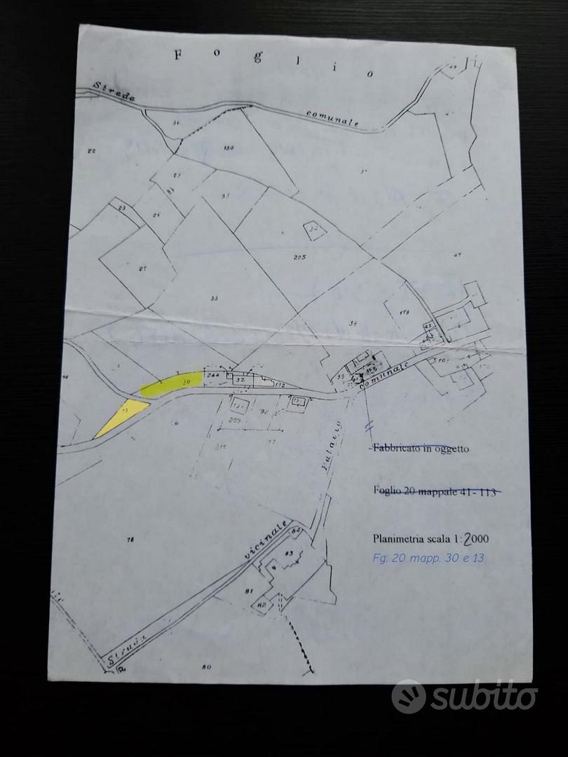 Terreno agricolo 1.300 m² con 39 ulivi produttivi - Altro