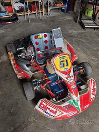 kart birel 125  