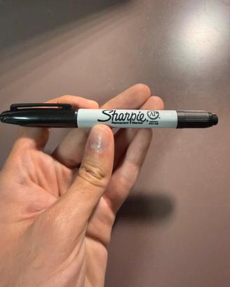 Pennarello indelebile Sharpie a doppia punta