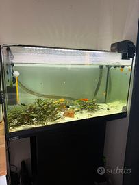 Acquario Tetra Starter Line 105L con Mobile Tetra