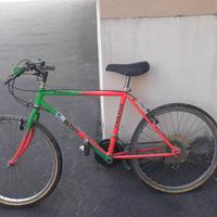 Bicicletta mountainbike taglia media