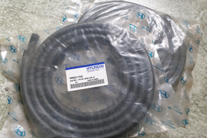 Guarnizioni portiera Hyundai - Kia