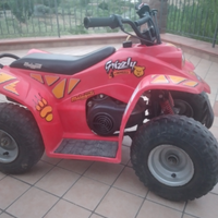 Quad grizzly