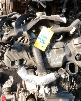MOTORE FORD BKFA 2.0 TD 16V